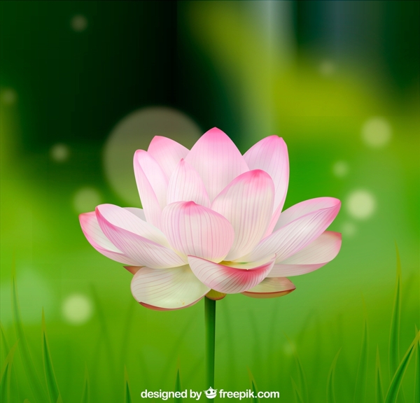綠色背景矢量