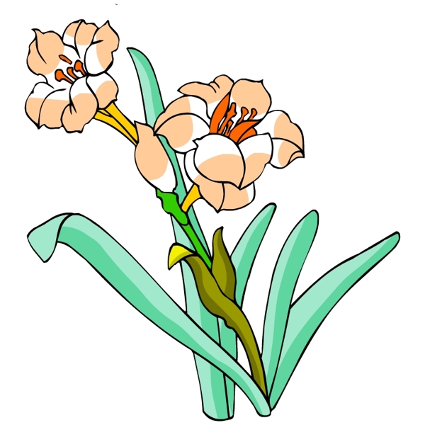 花卉古典插畫