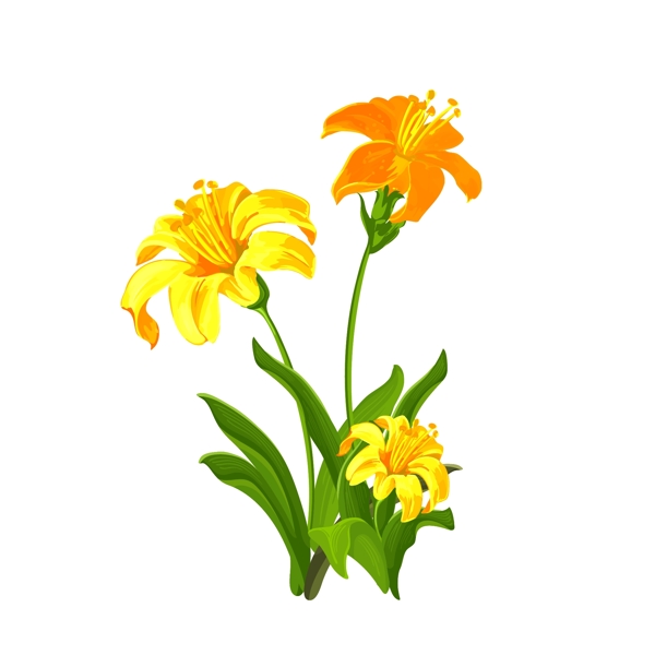 手绘水彩黄色喇叭花花卉