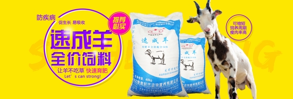 京東速成羊飼料banner