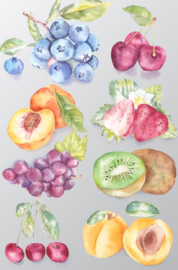 水果插畫