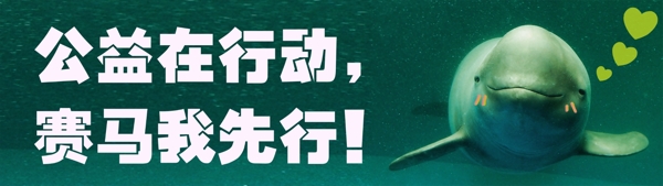 保护海豚公益海报图片