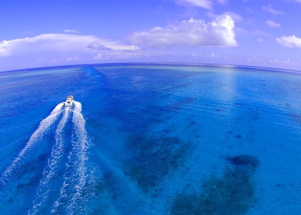 大海圖片
