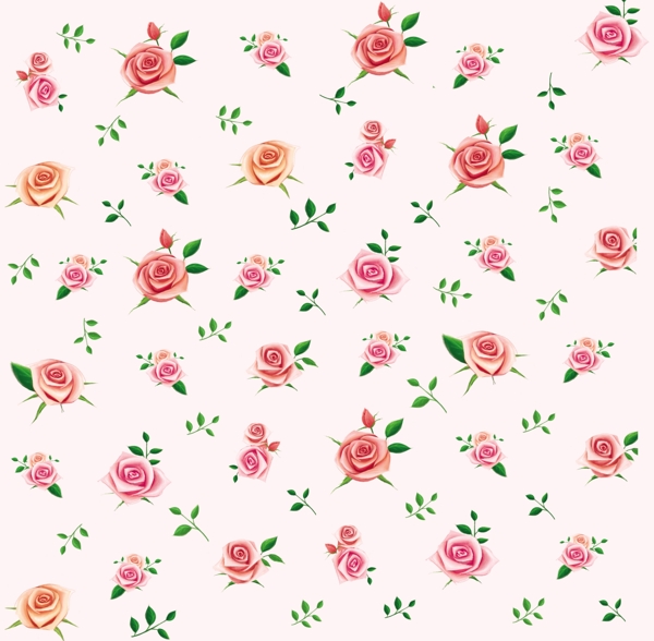 玫瑰花