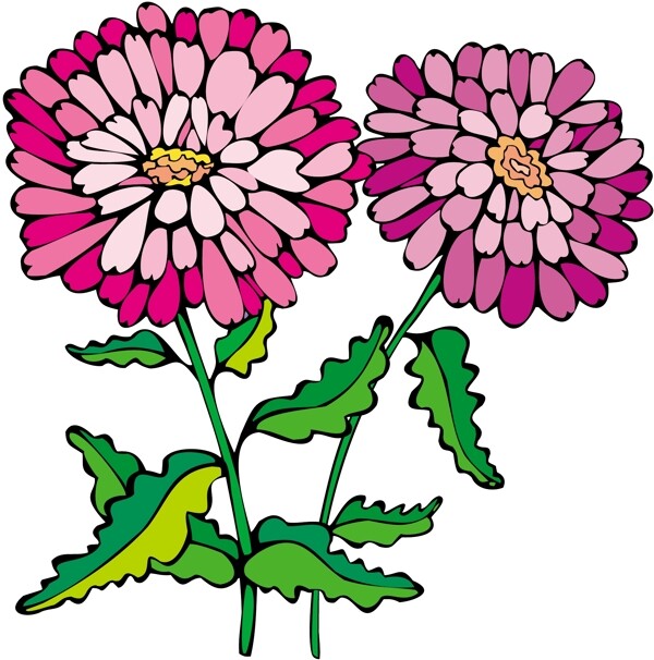 花朵花草鮮花矢量EPS格式0018