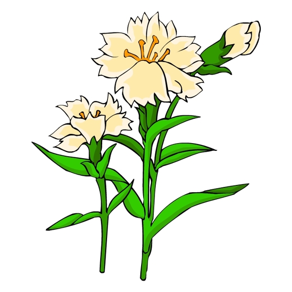 花卉古典插畫