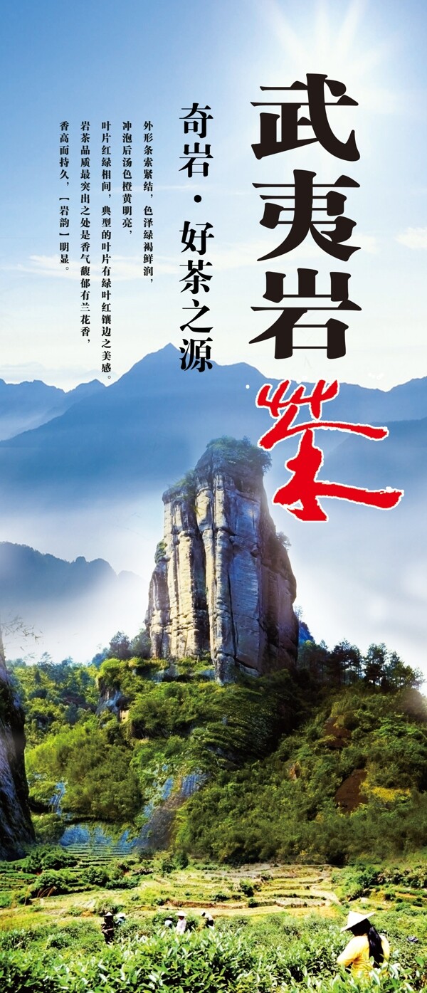 武夷巖茶