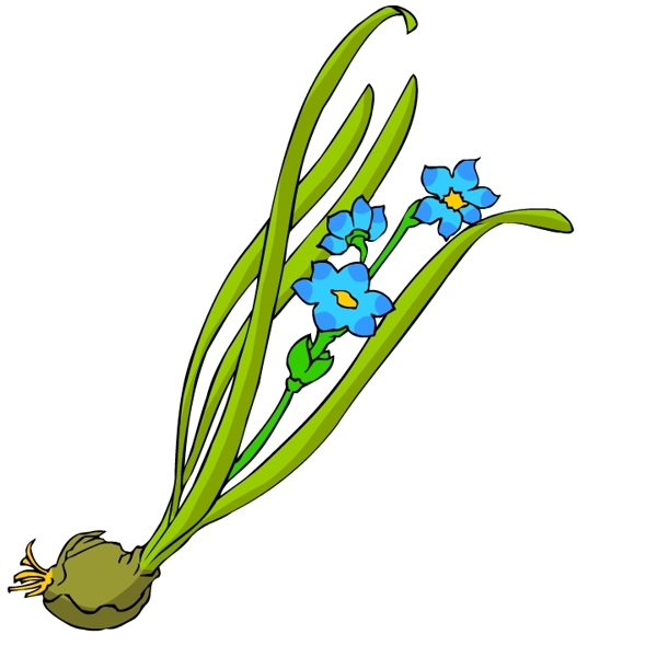 花卉古典插畫