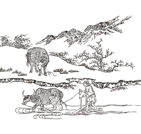 牛圖片