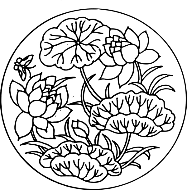 荷花圖片