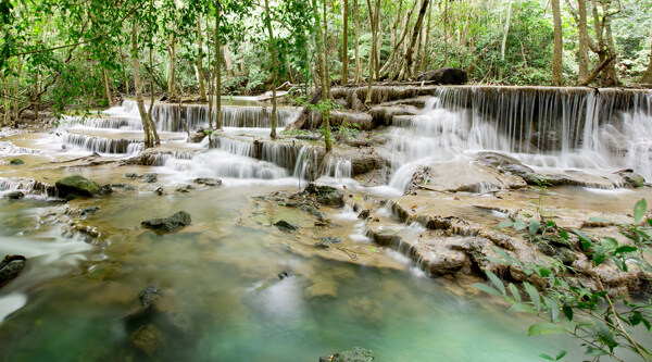美麗樹林風(fēng)景攝影圖片