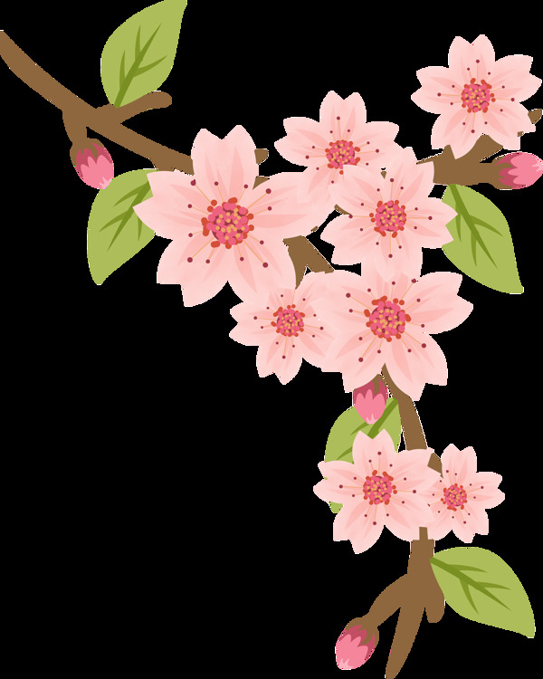 日本櫻花卡通透明裝飾素材