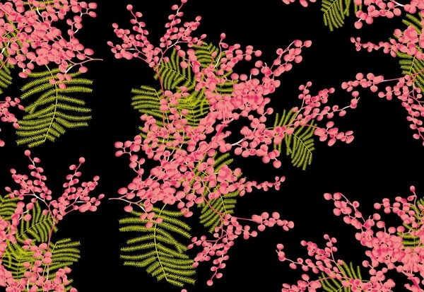 黑底紅花