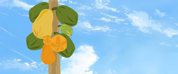 木瓜树季节水果促销海报背景