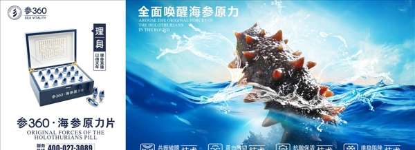 海参养生海鲜广告宣传