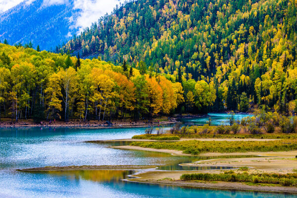 新疆喀纳斯湖金秋风景
