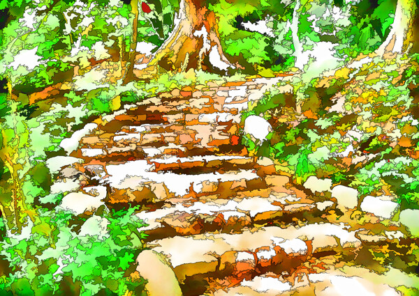 林間小路風景