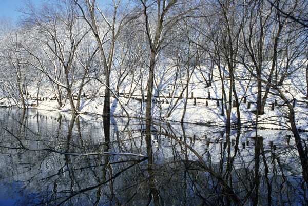 冬天的湖泊美景图片