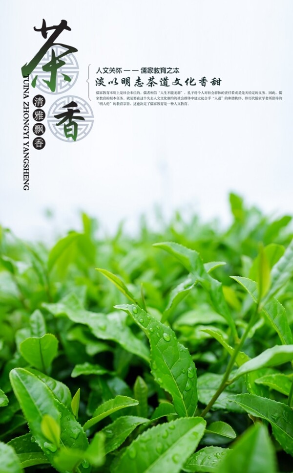 茶葉