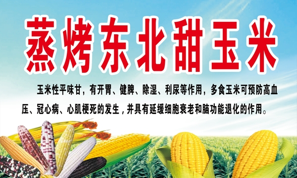 烤玉米海報(bào)
