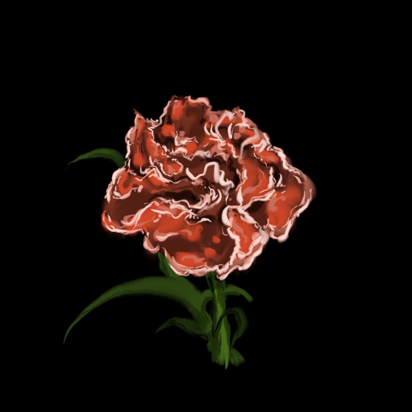 一朵红色的花插图