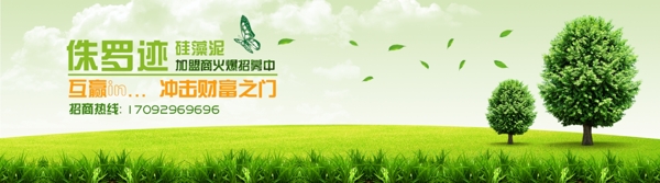 硅藻泥banner