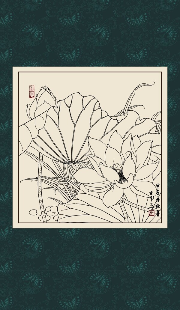 白描荷花圖片