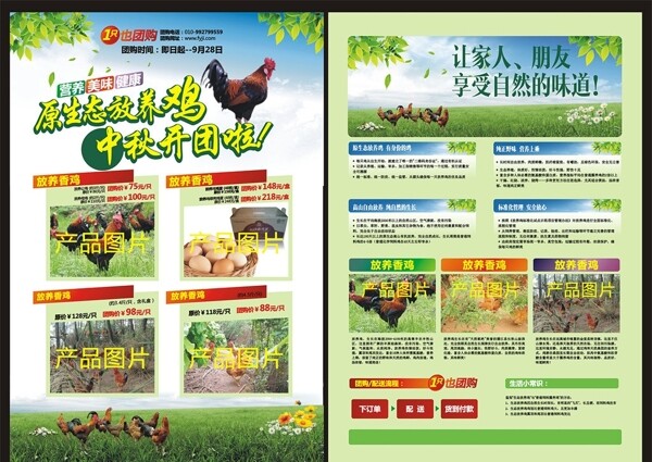 放養(yǎng)雞DM宣傳單圖片