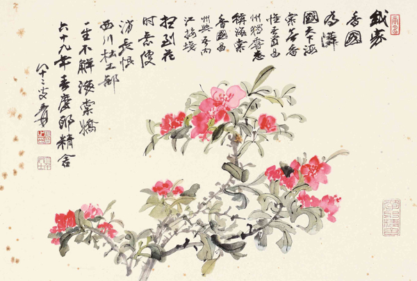 海棠圖片