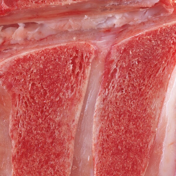 肉類背景