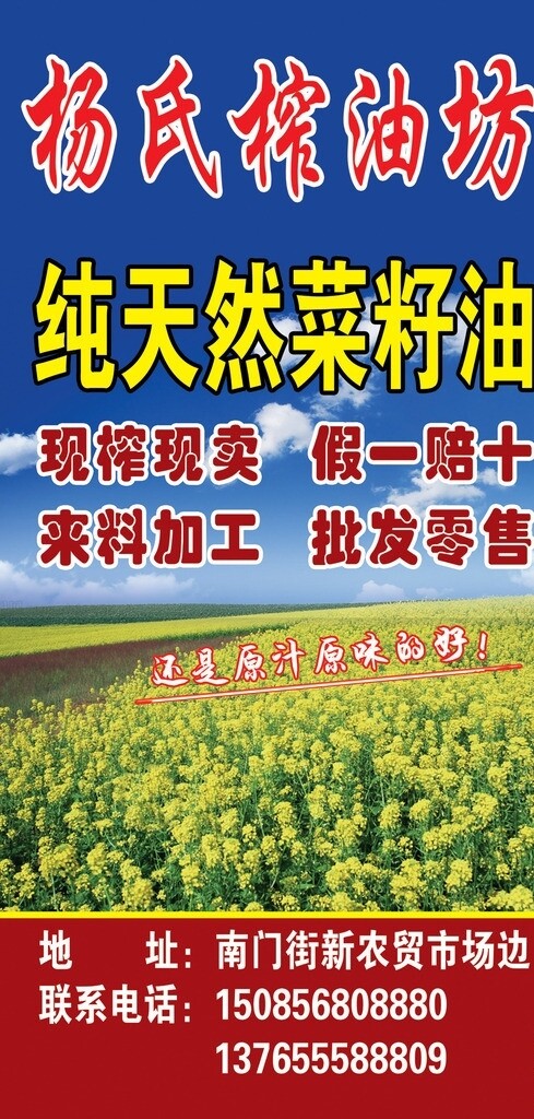 菜籽油廣告圖片
