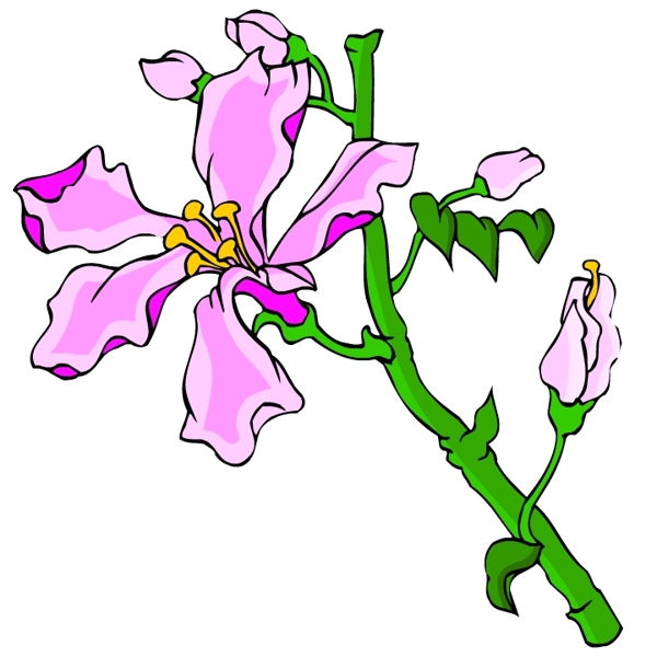 花卉古典插畫