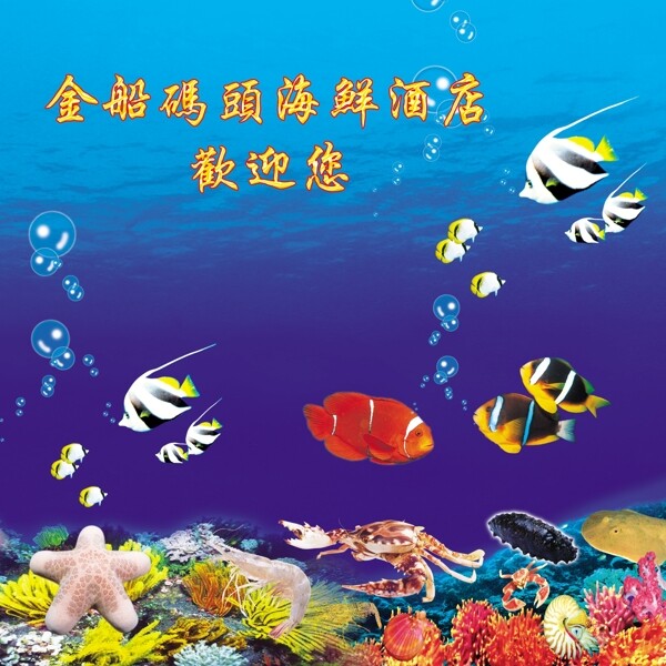 海鮮圖片