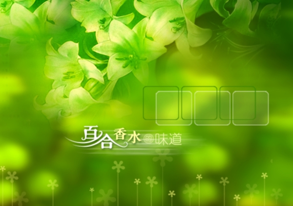 婚紗模版百合香水
