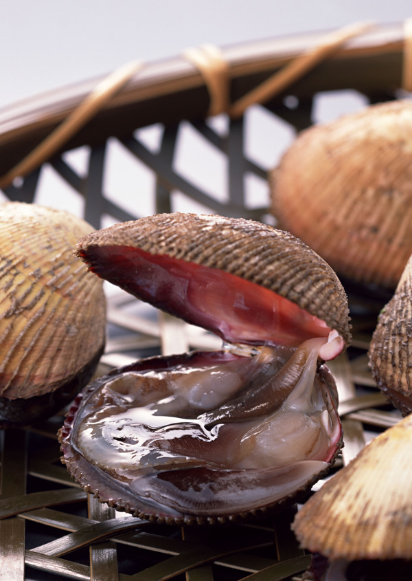 海鲜生蚝贝壳海鲜食材图片