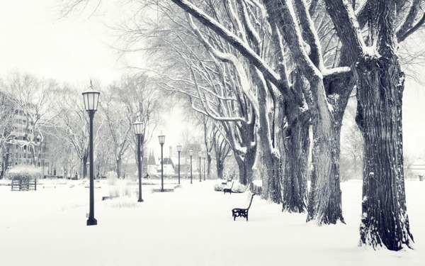 美丽的冬季雪景图片