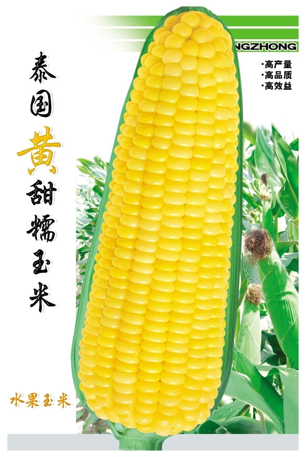 玉米包裝