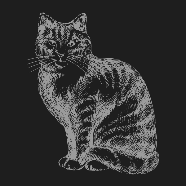 印花矢量圖T恤圖案動物貓色彩免費(fèi)素材