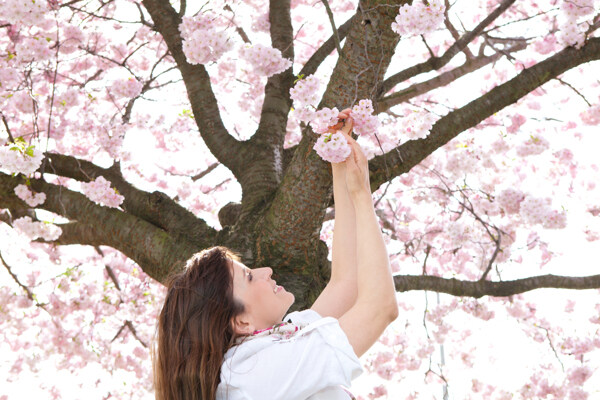 樱花树下的女孩图片