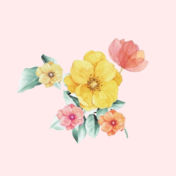 位圖psd植物花朵免費(fèi)素材