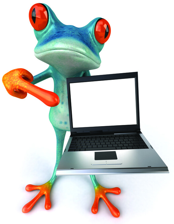 手拿笔记本电脑的青蛙图片