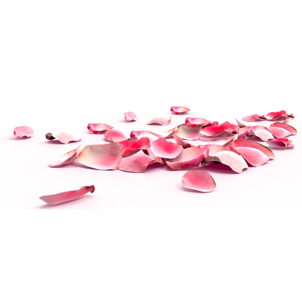 粉色散落的花瓣素材