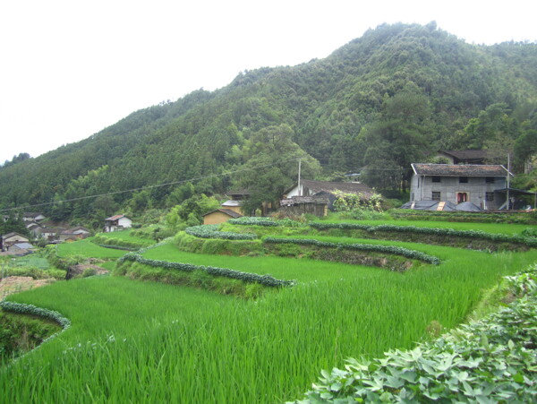 小山村