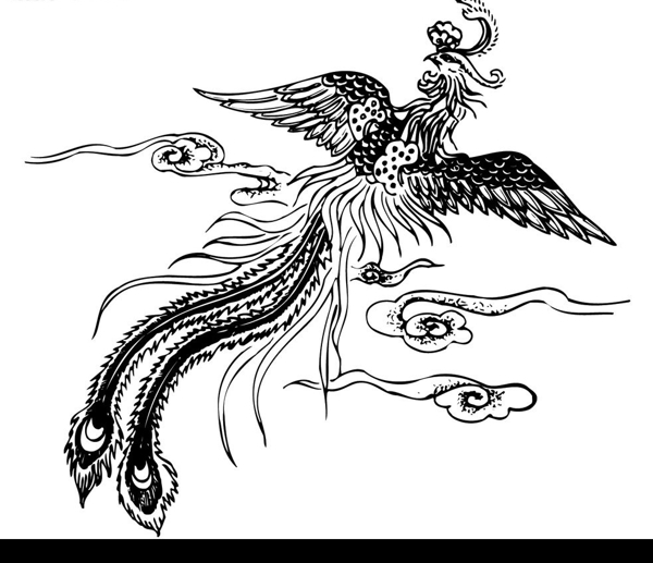 鳳凰2圖片