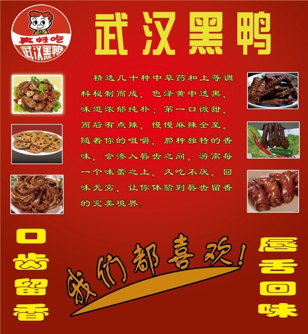 武漢黑鴨圖片