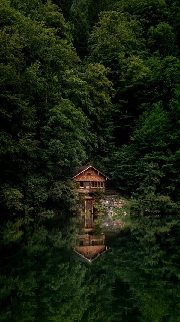 森林中的房子图片