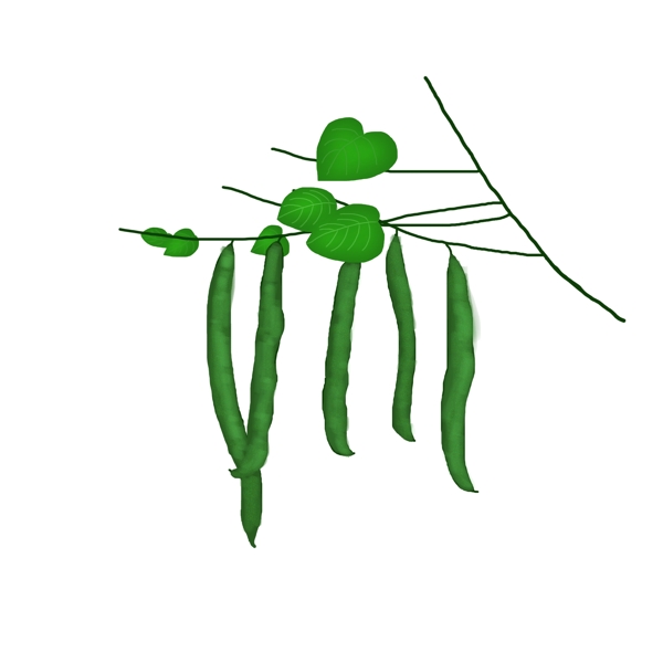 立秋四季豆原創(chuàng)商用元素手繪