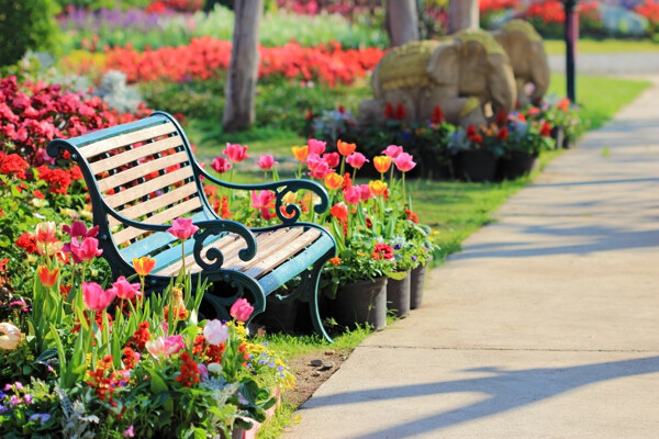 花園公園攝影素材圖片