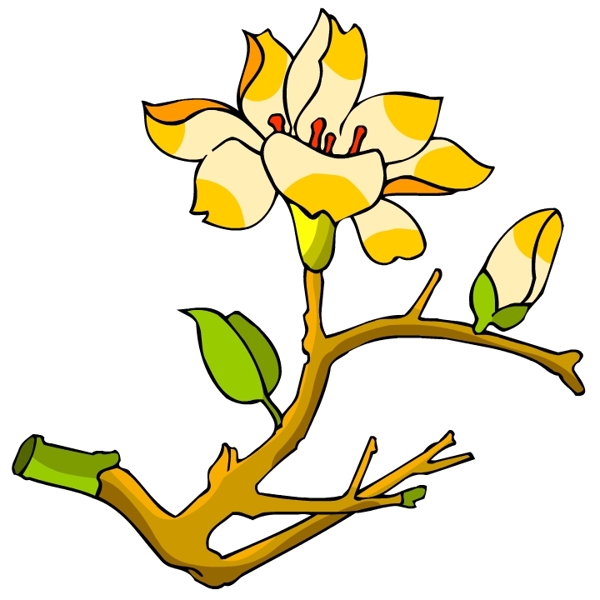 花卉古典插畫(huà)