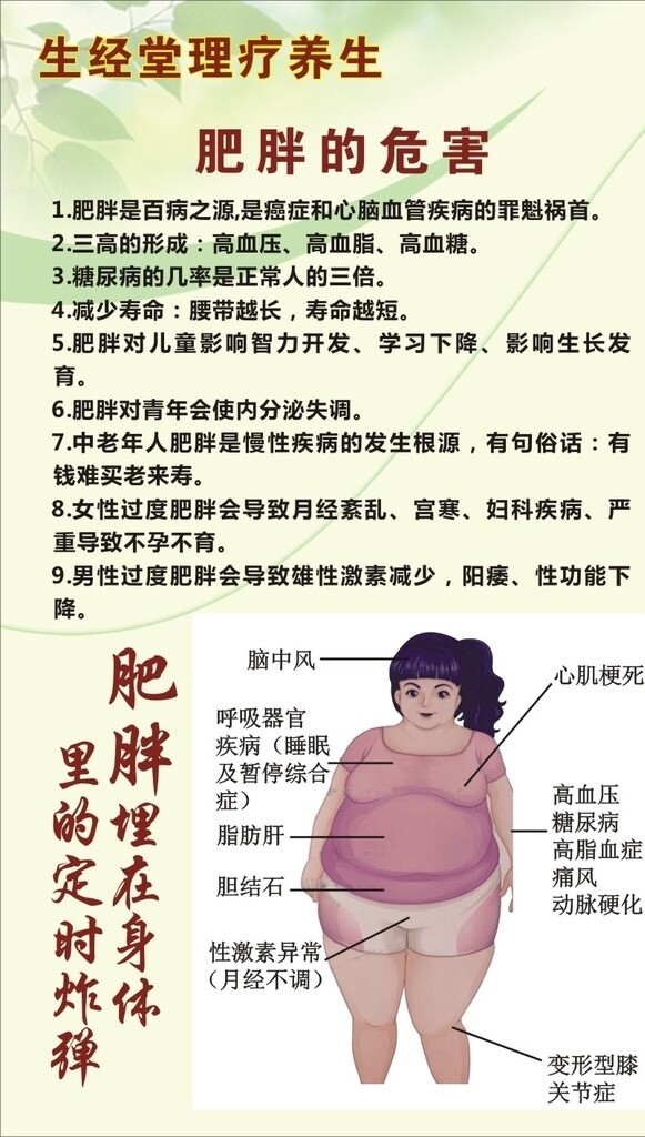 肥胖展板